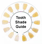 Tooth Shade Guide
